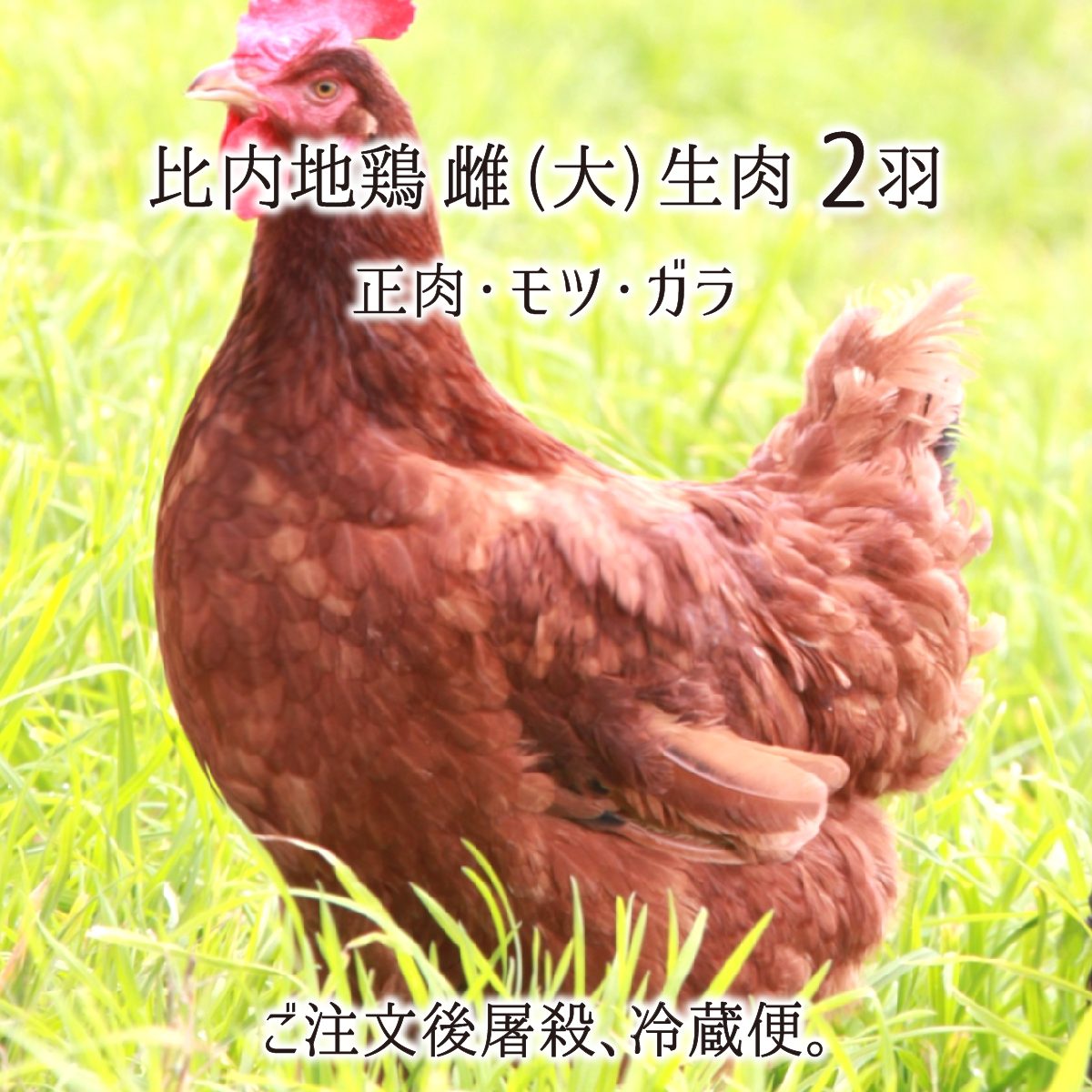 双鶏 雌雄 鶏像 細密 置物 双鶏 雌雄 鶏像 細密 置物 細密 打て 置物 双鶏 鶏像 雌雄