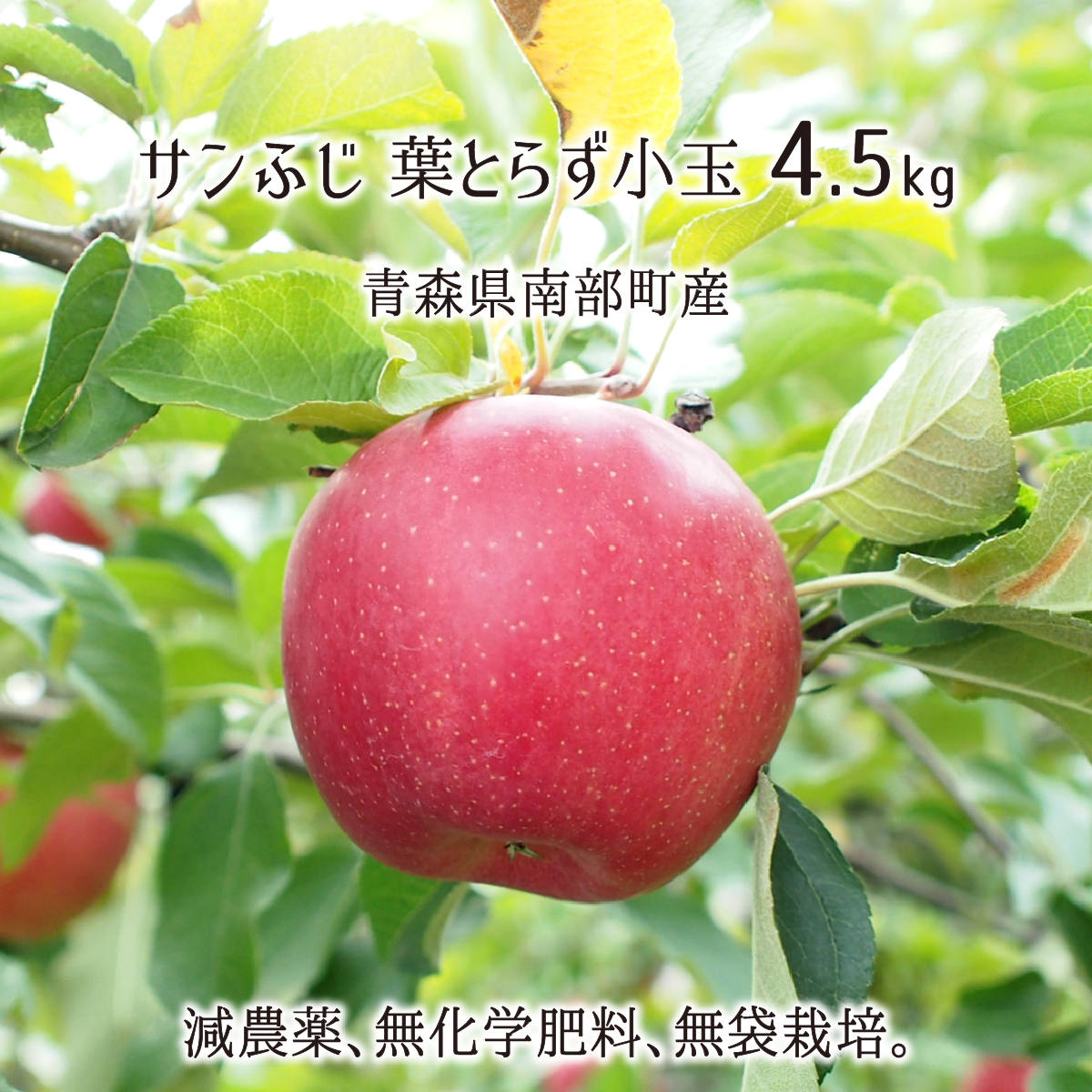サンふじ 葉とらず(小玉) 4.5kg 減農薬 無化学肥料 青森県南部町