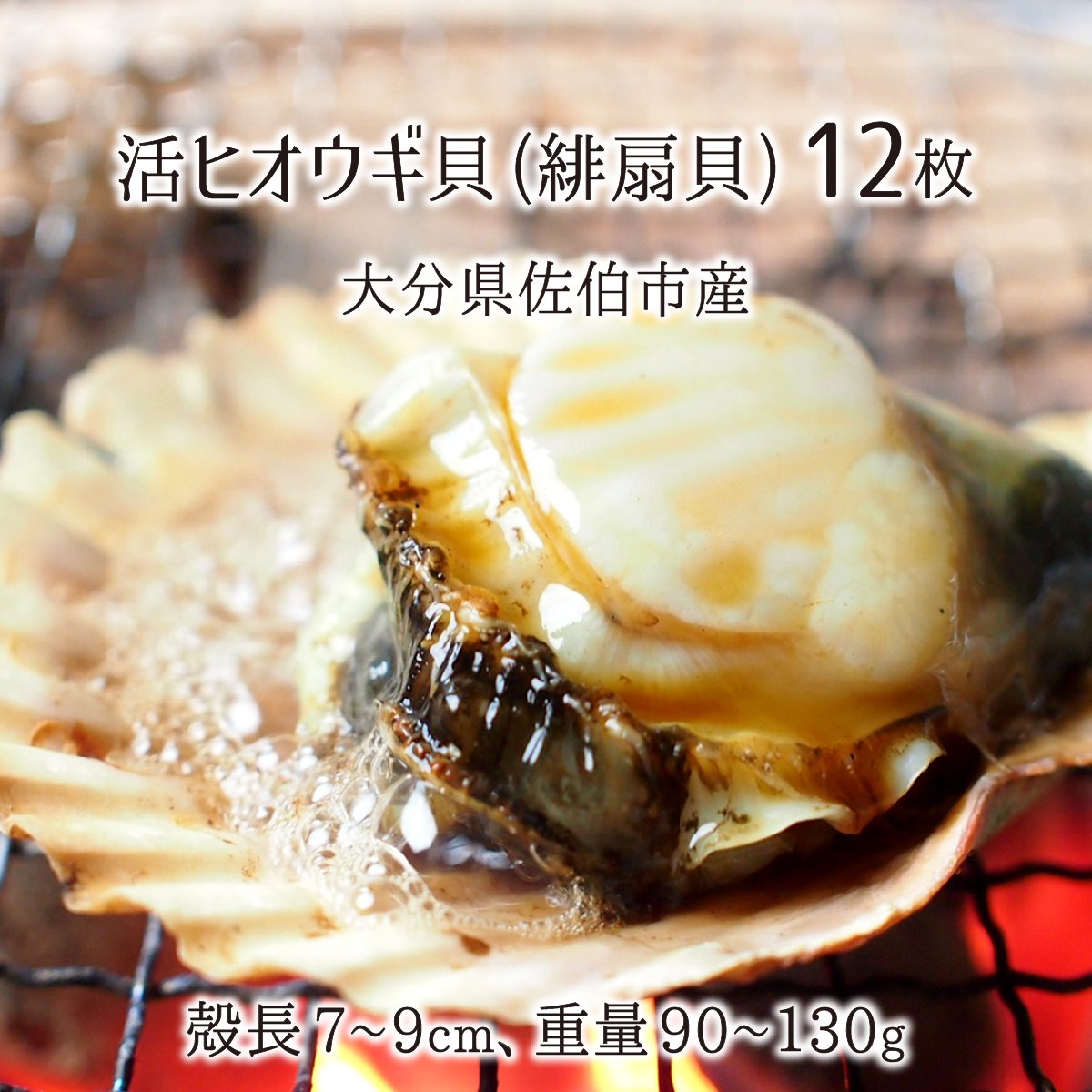 oims_t_hiougi_012_9a281580-