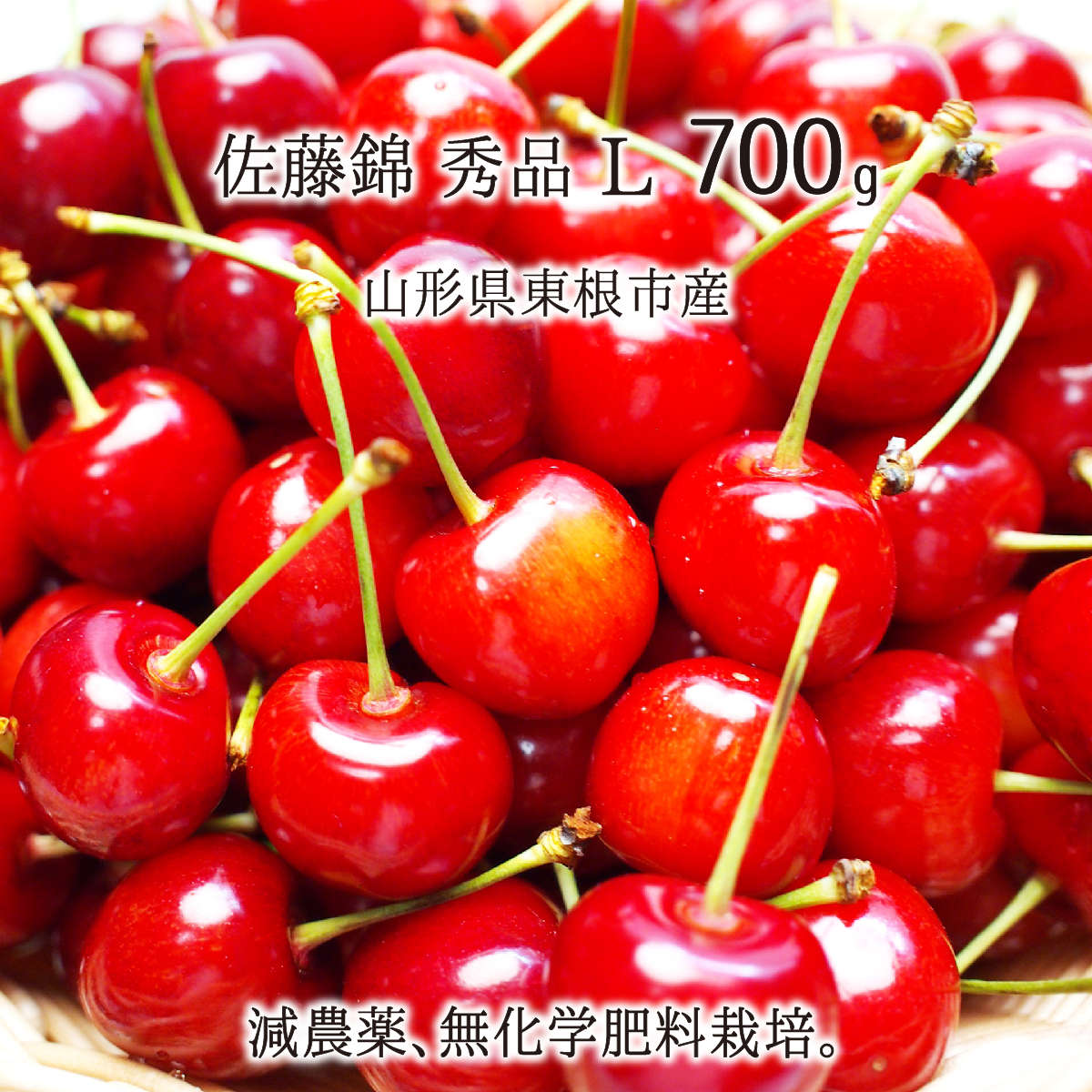 極限まで農薬減らしました減農薬栽培山形県産さくらんぼ❣️佐藤錦双子ちゃん2キロ 2024年 山形県産 減農薬サクランボ
