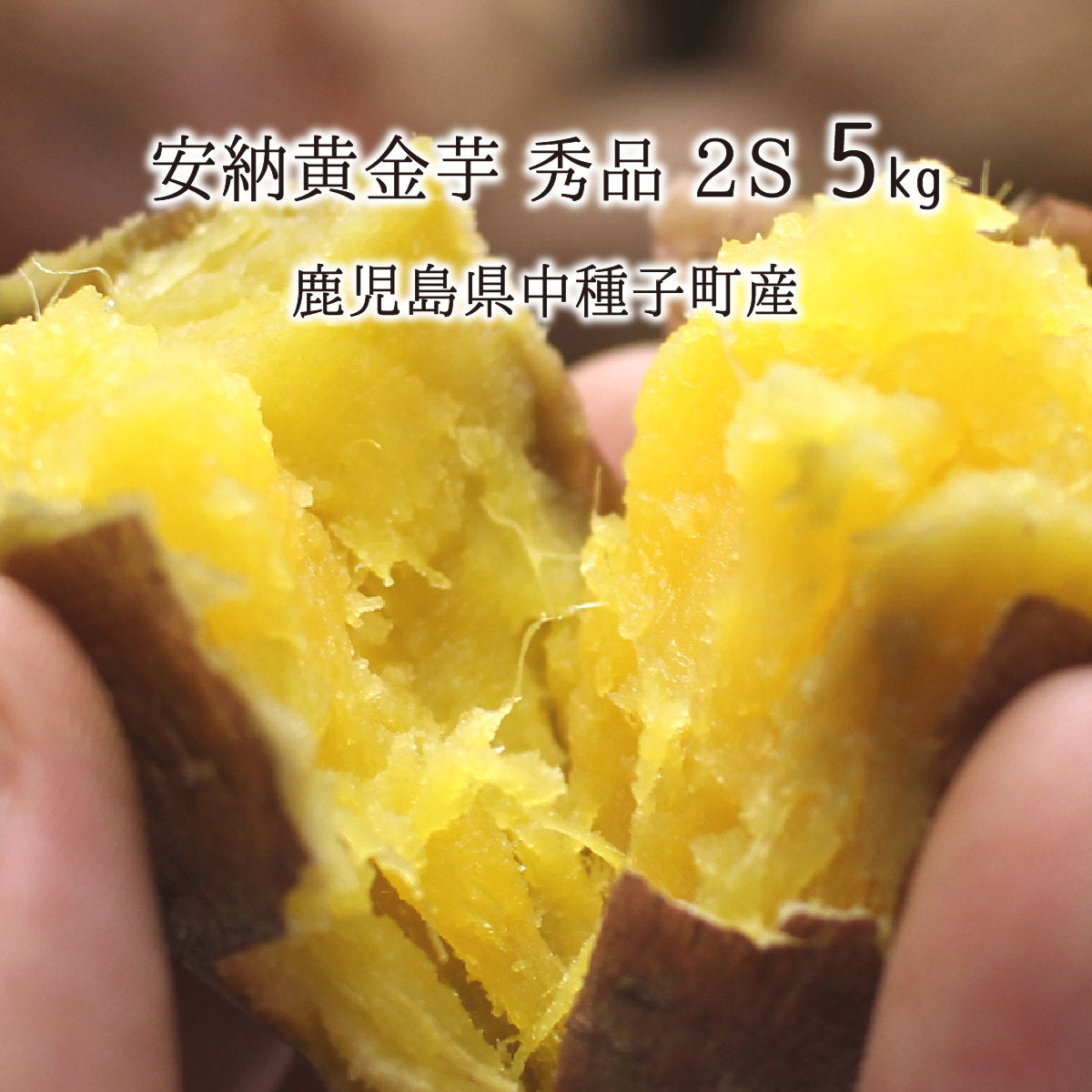 安納黄金芋 秀品 2S 5kg 種子島 鹿児島県中種子町産 1ヶ月以上貯蔵熟成