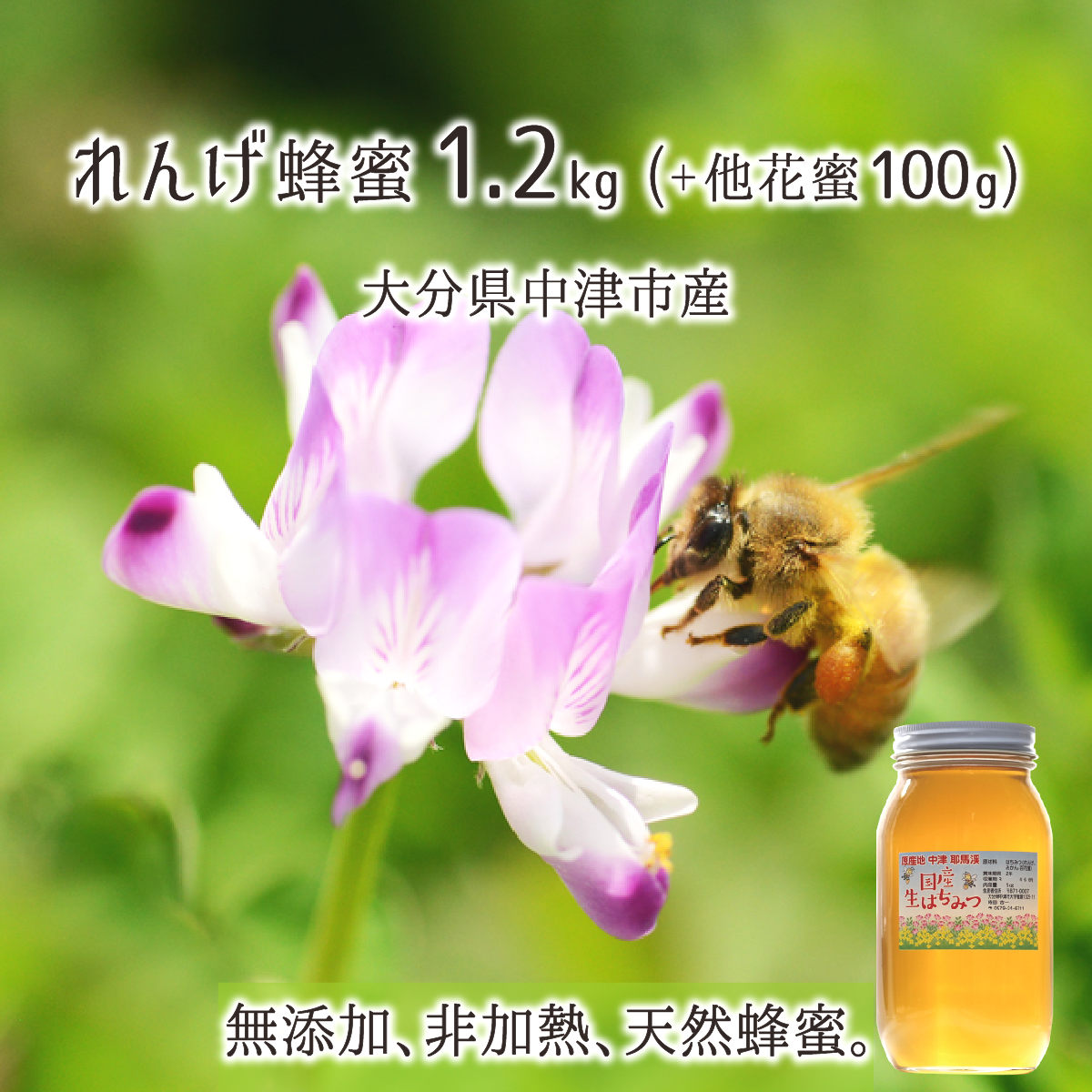 純国産 生蜂蜜100％ れんげ 黄金蜂蜜 大分県玖珠郡原産<非加熱