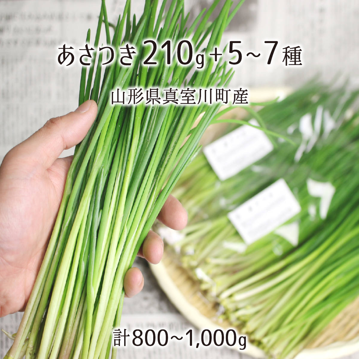 天然 あさつき 210g＋山菜5～7種 合計800～1000g 山形県真室川町産 4月