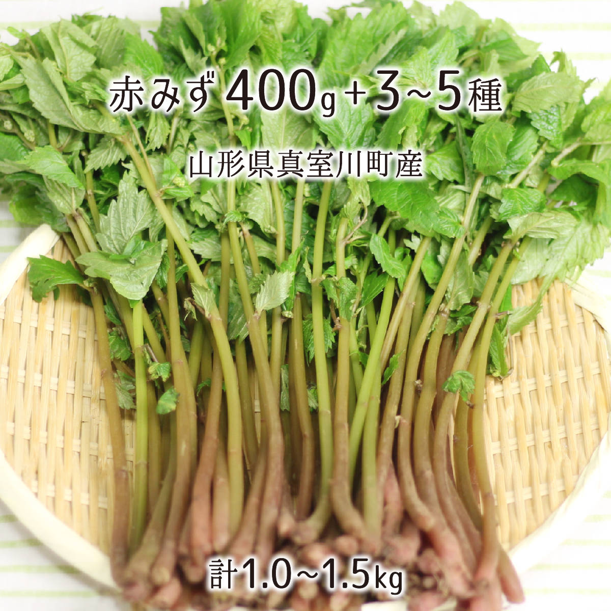 天然 赤みず 400g＋山菜3～5種 合計1.0～1.5kg 山形県真室川町産 5月