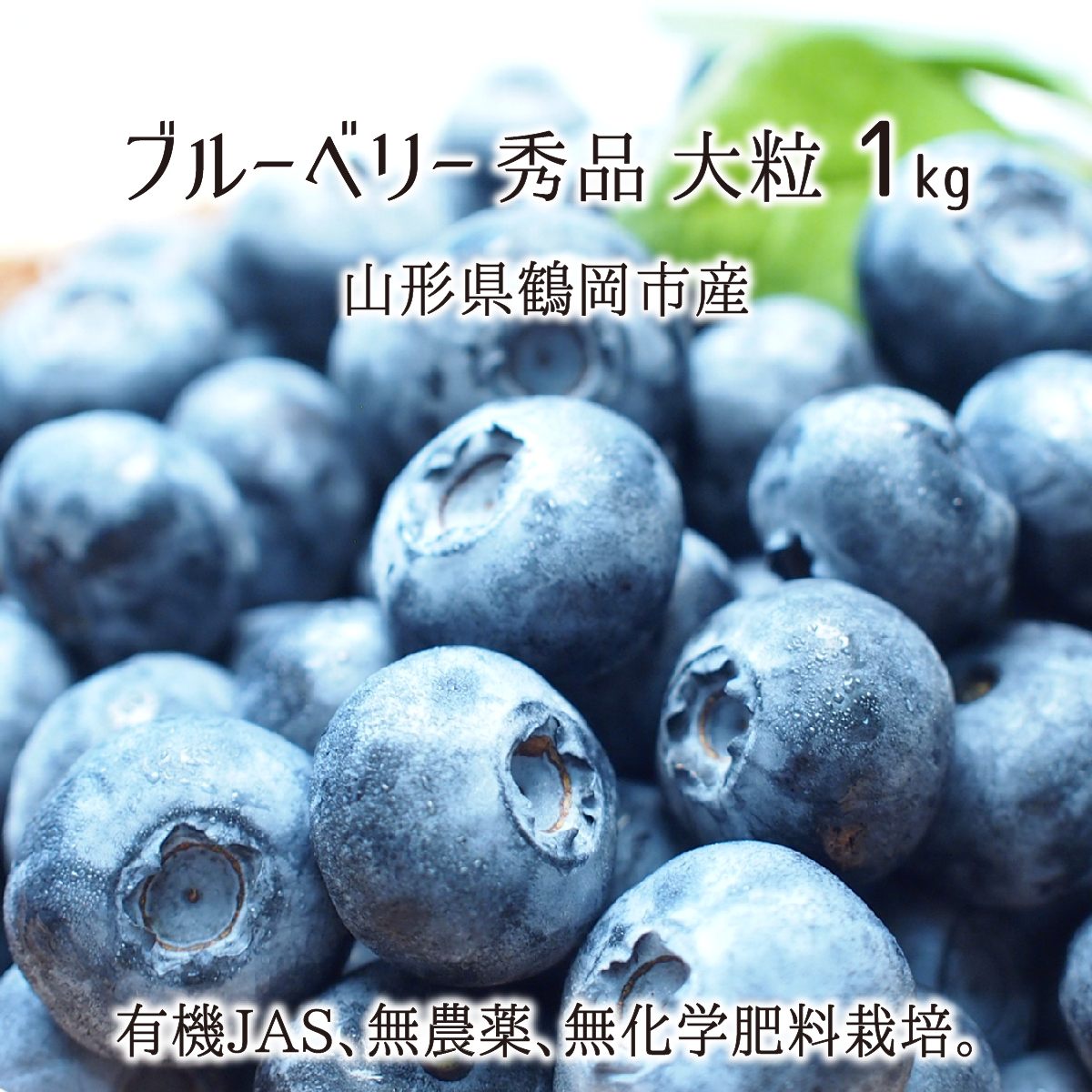 無農薬　生ブルーベリー　6月下旬～7月中旬　1kg　–　山形県鶴岡市羽黒産　有機栽培　産直むすび　有機JAS　ハイブッシュ　大粒　送料無料　秀品　無化学肥料