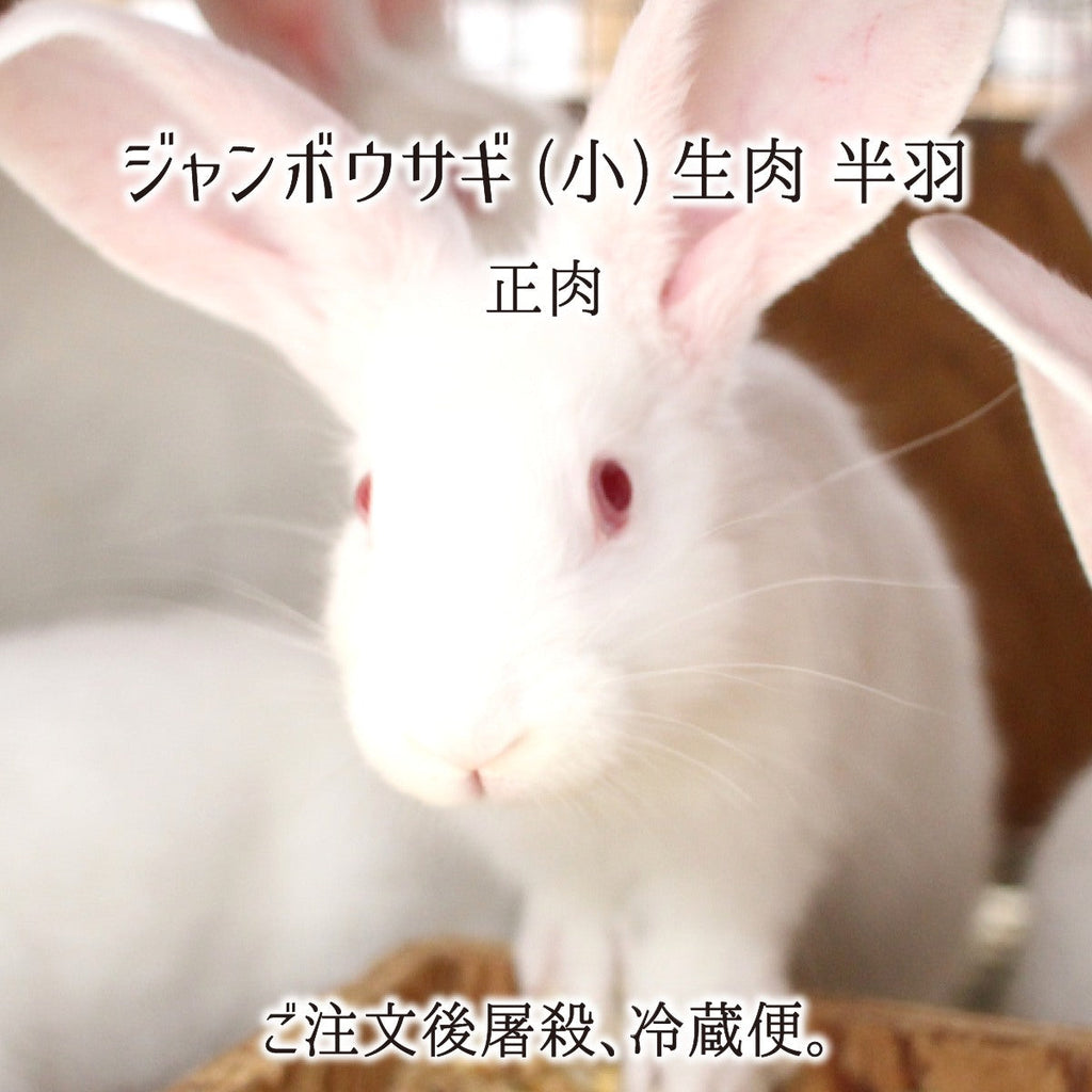 国内作家様 うさぎ 体長23センチ ジャンボウサギ 小型 半羽 生肉(正肉 約550g) 秋田県大仙市産