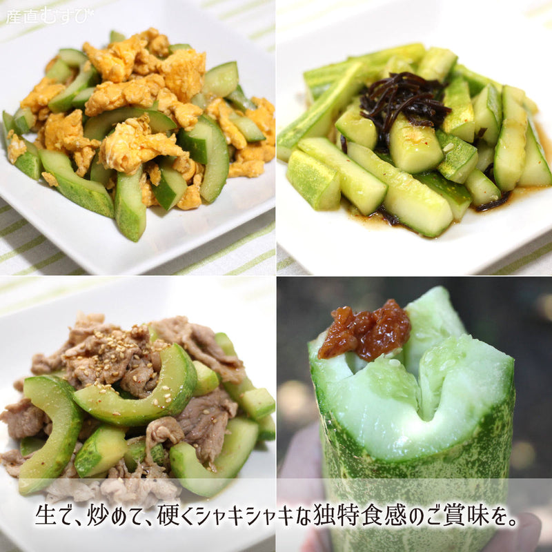 生食や炒め物で食す硬くシャキシャキな糠塚きゅうり