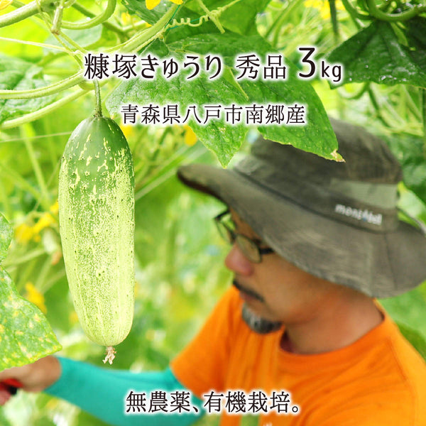 無農薬・有機栽培の青森県八戸市南郷産糠塚きゅうり