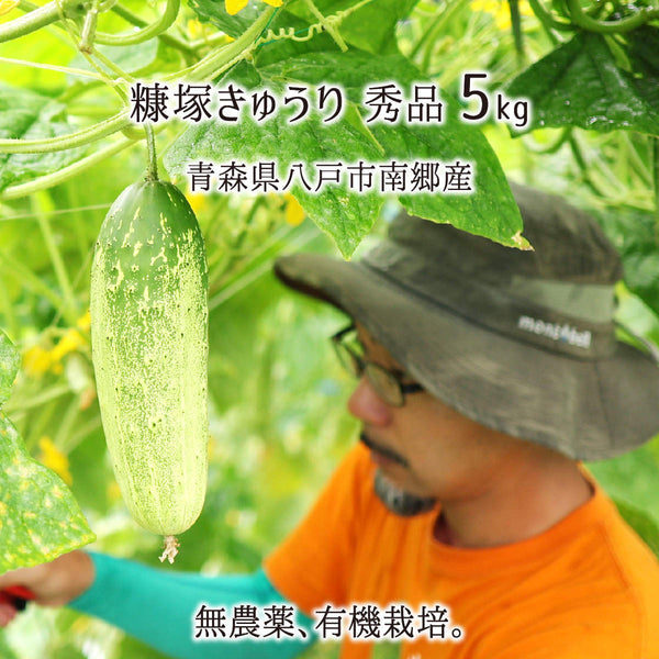 無農薬・有機栽培の青森県八戸市南郷産糠塚きゅうり