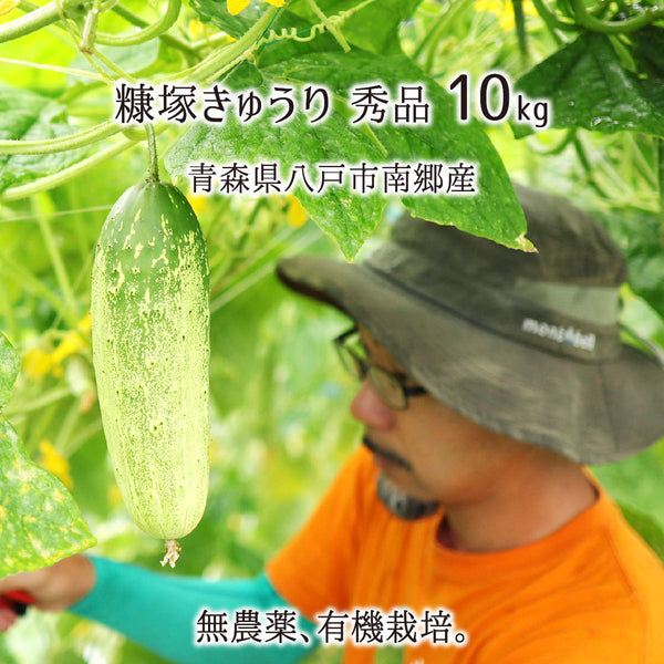 無農薬・有機栽培の青森県八戸市南郷産糠塚きゅうり