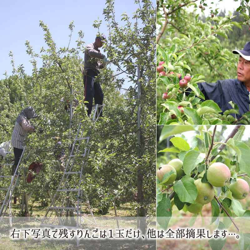 りんご,特別栽培