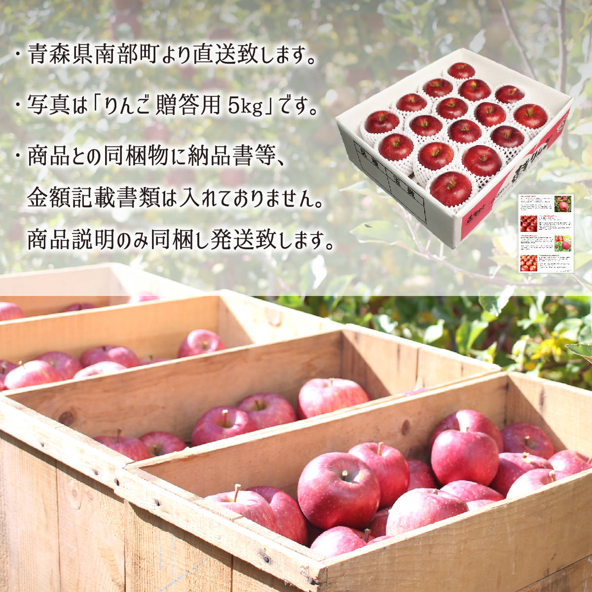 シナノスイート 秀品 中玉 3kg 減農薬 無化学肥料 青森県南部町産