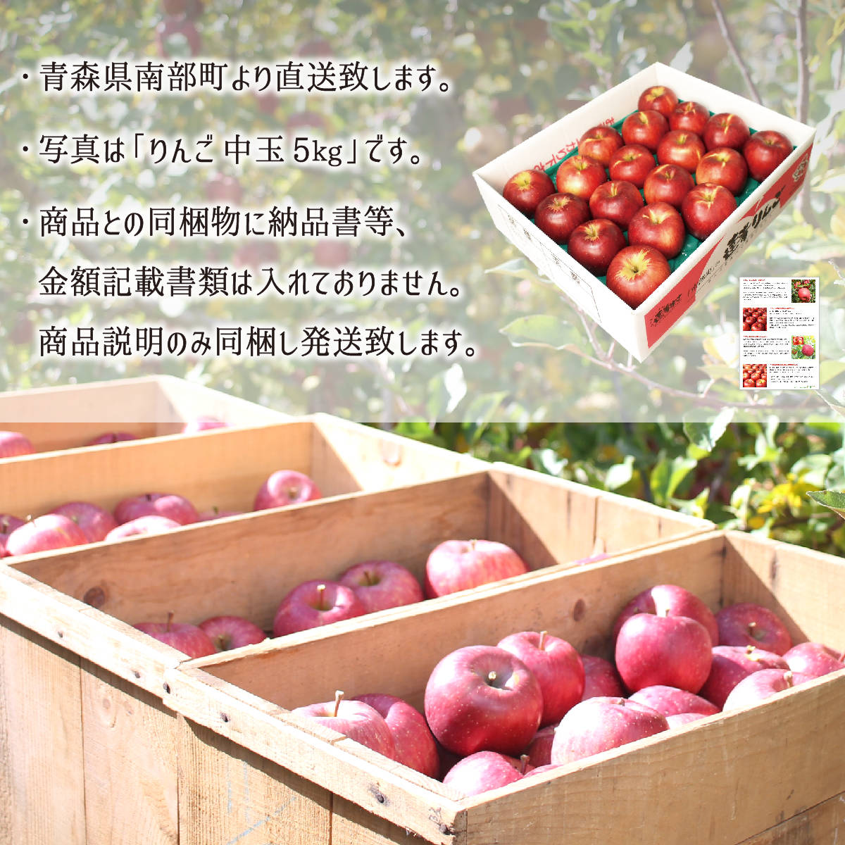 青森県産農薬不使用紅玉りんご10キロ送料無料 紅玉 訳あり 5kg 減農薬 無化学肥料 青森県南部町産 りんご 家庭