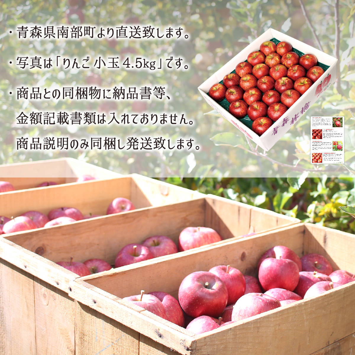 サンつがる 秀品・訳あり混載(小玉) 9kg 減農薬 無化学肥料 青森県南部