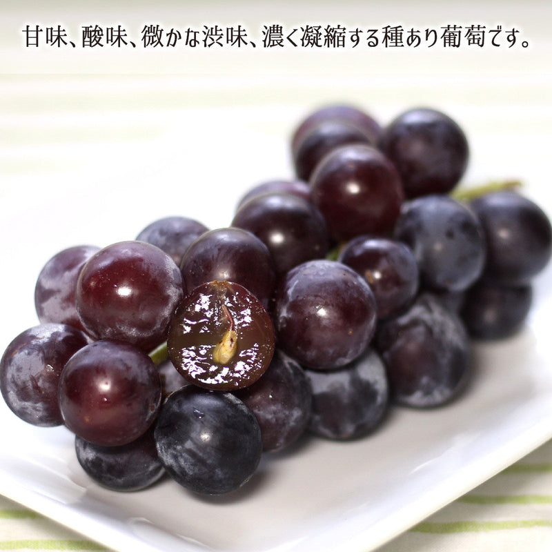 ブドウ,種あり