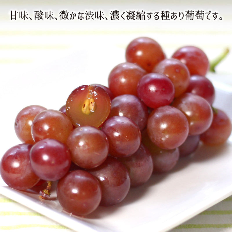 ブドウ,種あり
