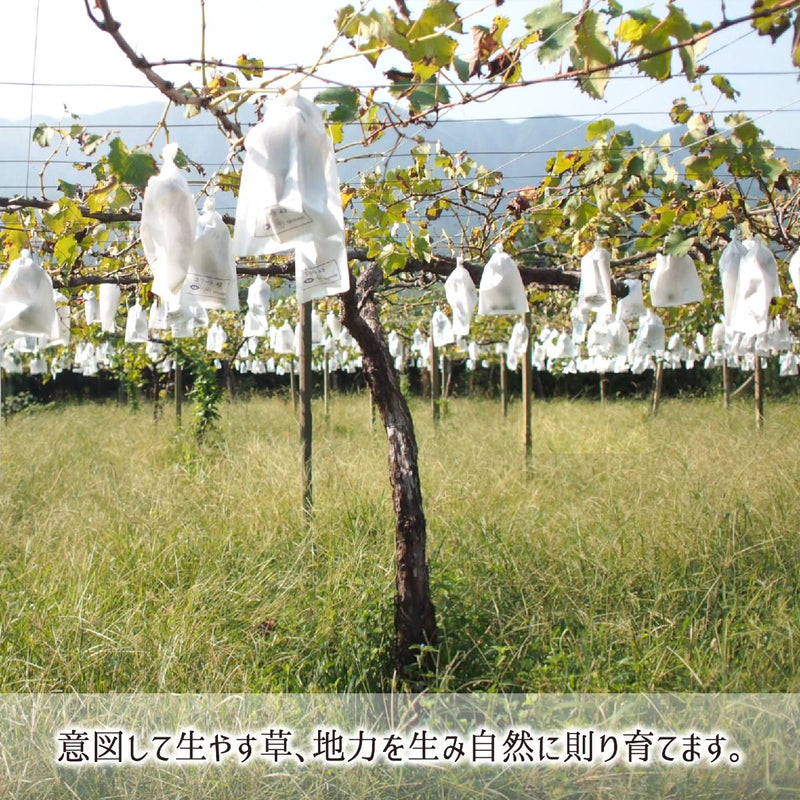 ブドウ,減農薬