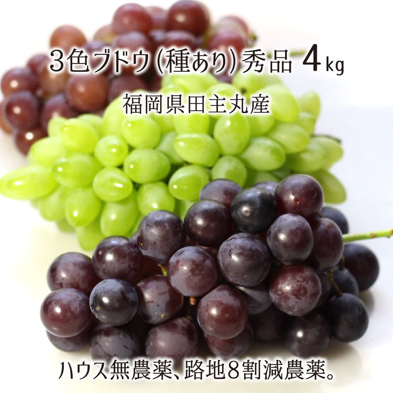 ブドウ,無農薬
