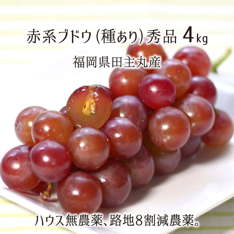 ブドウ,無農薬