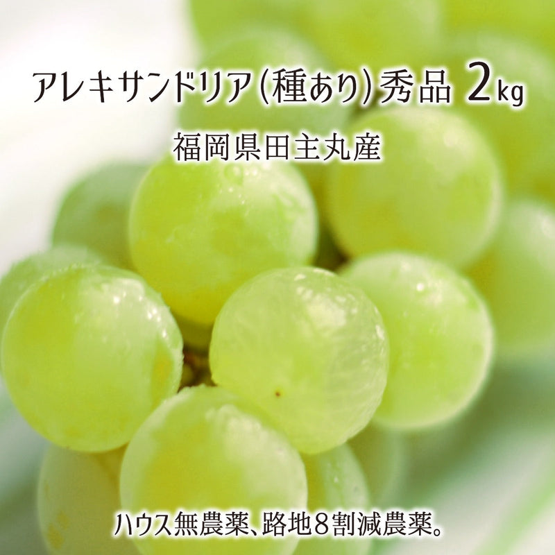 ブドウ,無農薬