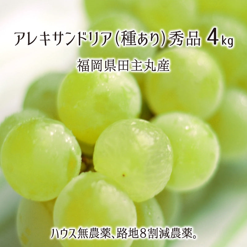 ブドウ,無農薬