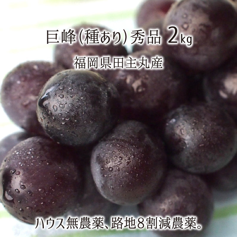 ブドウ,無農薬