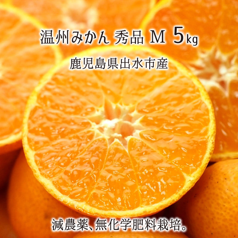 減農薬・無化学肥料栽培の鹿児島県出水産温州みかん