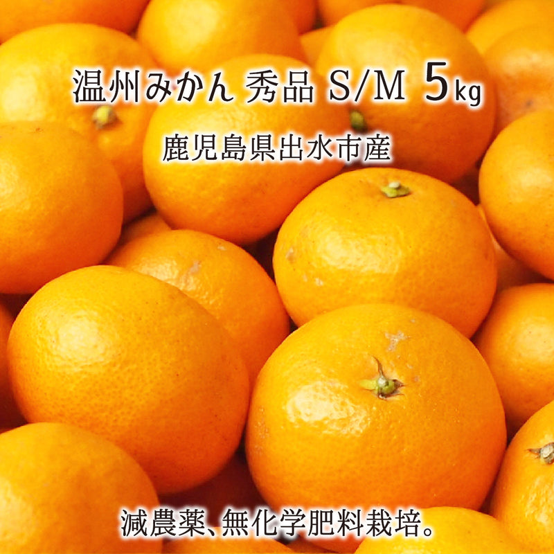 減農薬・無化学肥料栽培の鹿児島県出水産温州みかん