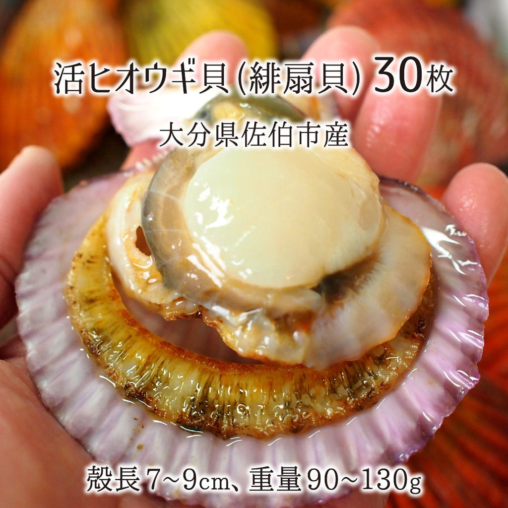 oims_t_hiougi_030_8e1f6231-