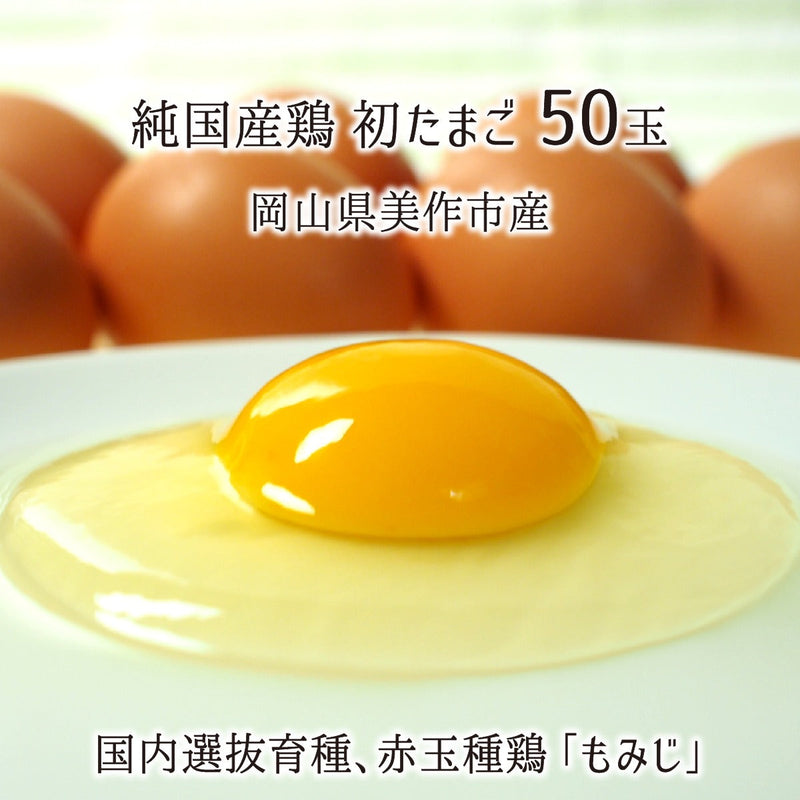 もみじ,初たまご