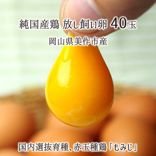 もみじ,放し飼い卵