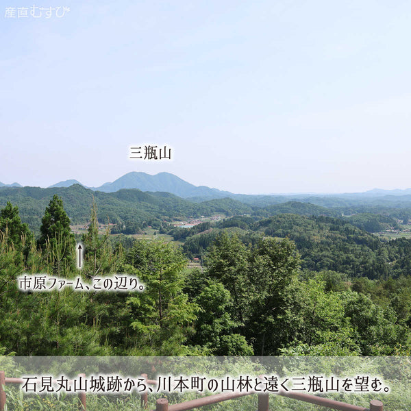 えごまを食す鴨肉を育む島根川本町を縦貫する江の川