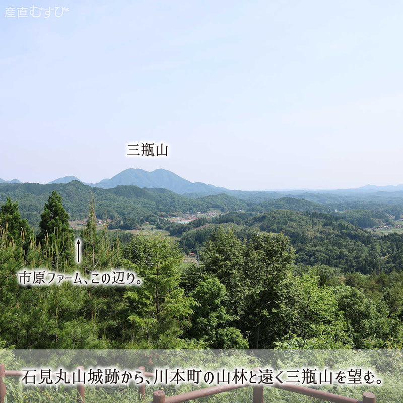 えごまを食す鴨肉を育む島根川本町を縦貫する江の川