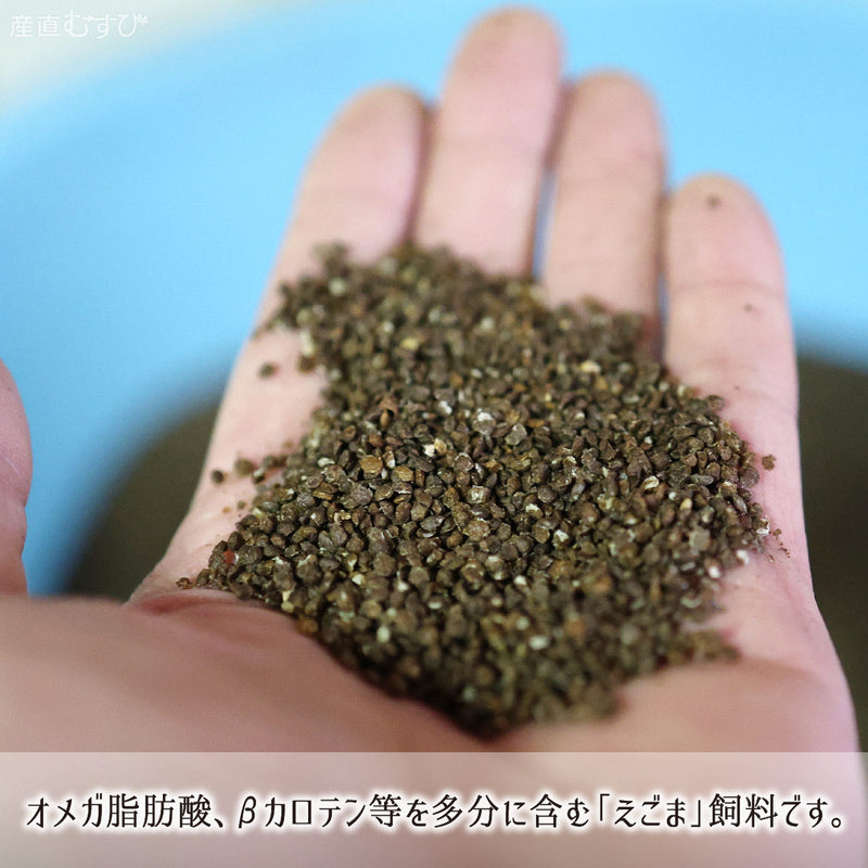 オメガ脂肪酸やビタミンCEが豊富なエゴマの鴨肉飼料