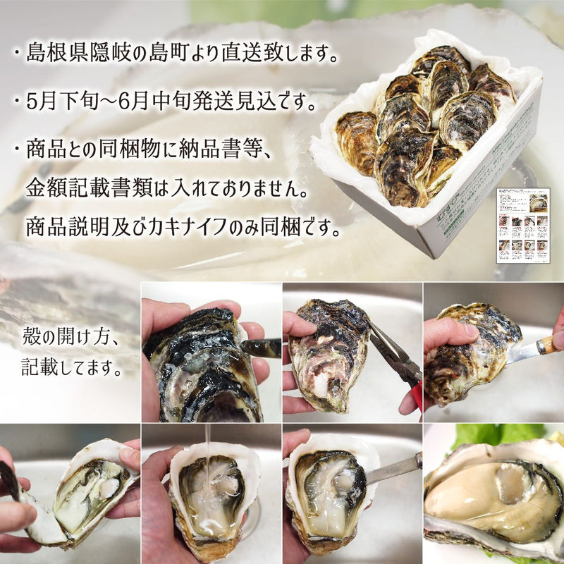 岩牡蠣,送料無料