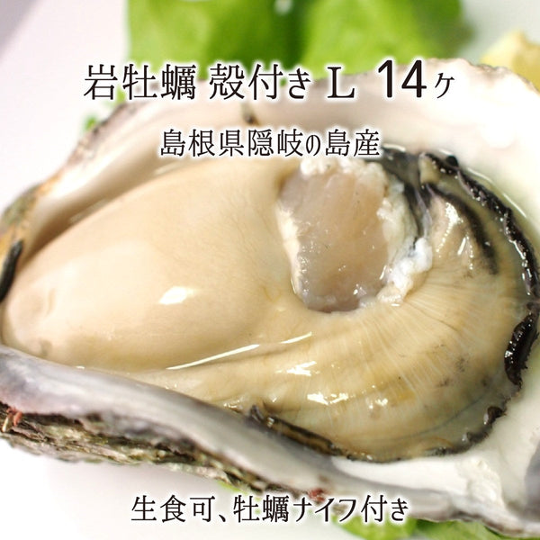 岩牡蠣,生食
