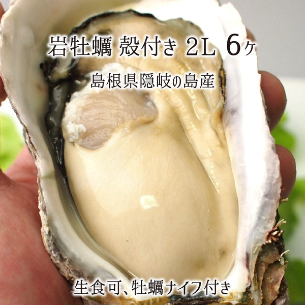 岩牡蠣,生食