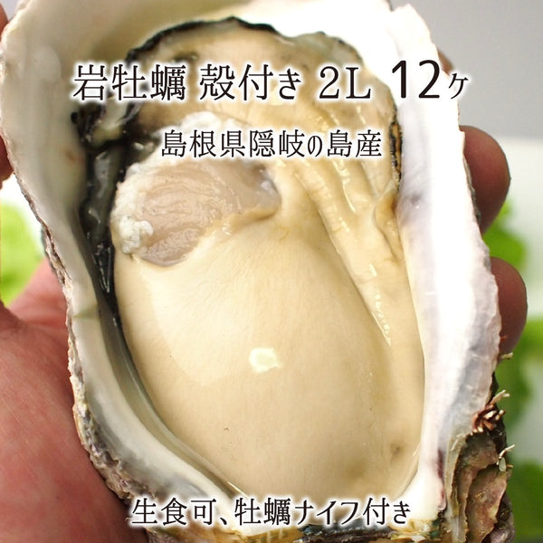 岩牡蠣,生食