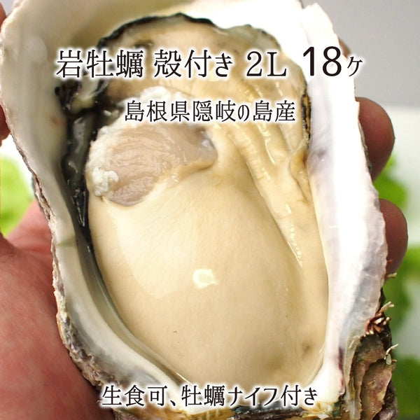 岩牡蠣,生食