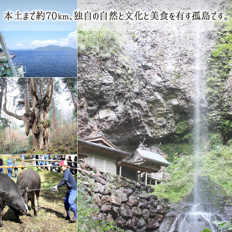 減農薬特別栽培米コシヒカリ島根県隠岐藻塩米