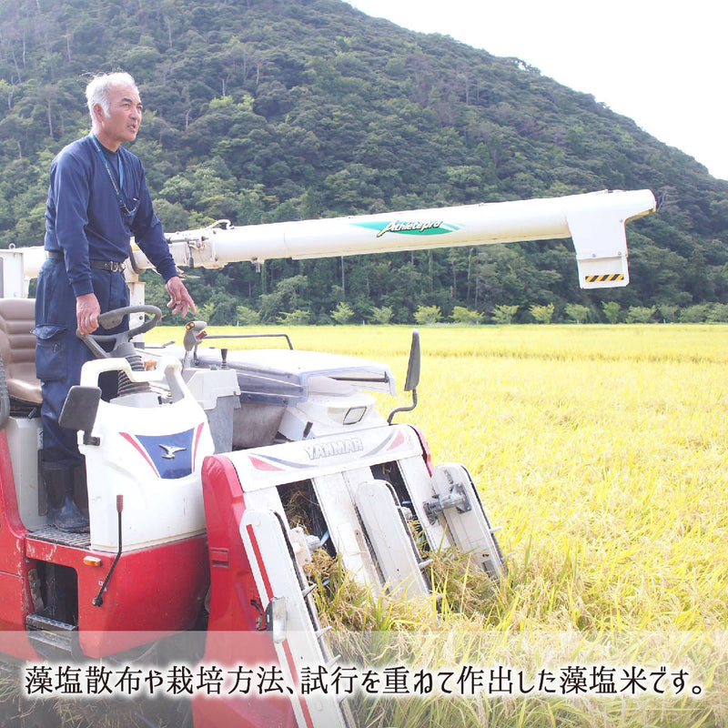 減農薬特別栽培米コシヒカリ島根県隠岐藻塩米