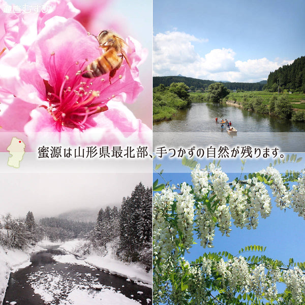 山桜蜂蜜の蜜源は手つかずの自然が残る山形県最上郡