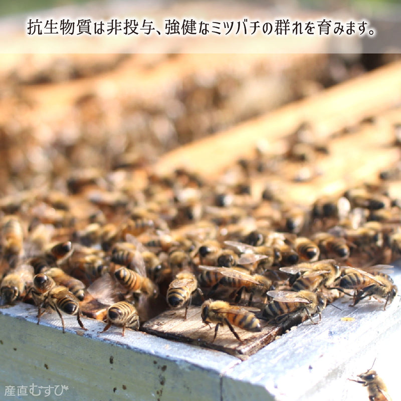 抗生物質を与えず健全ミツバチが作る高糖度天然蜂蜜