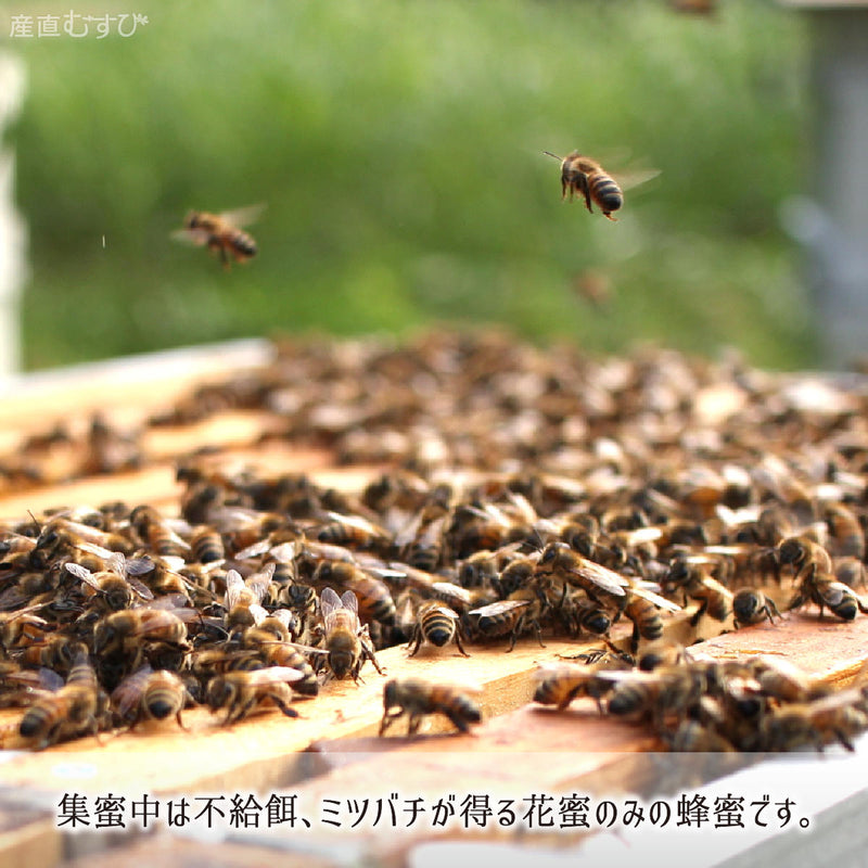 採蜜期に給餌せず蜜蜂が得る花蜜のみの天然純粋蜂蜜