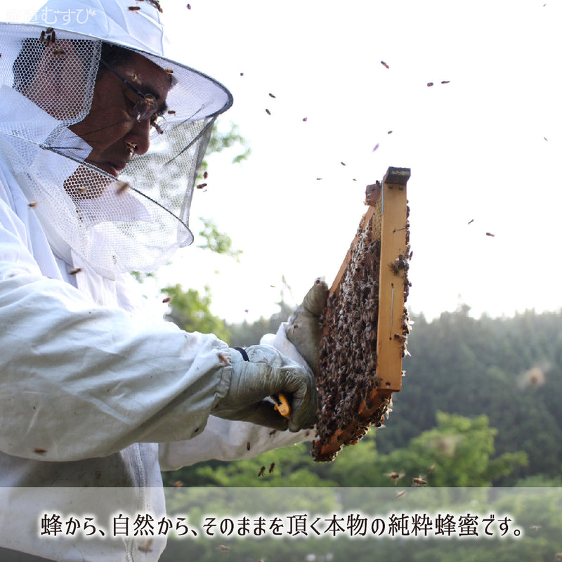 蜜蜂から自然からそのまま頂く本物の山藤純粋蜂蜜