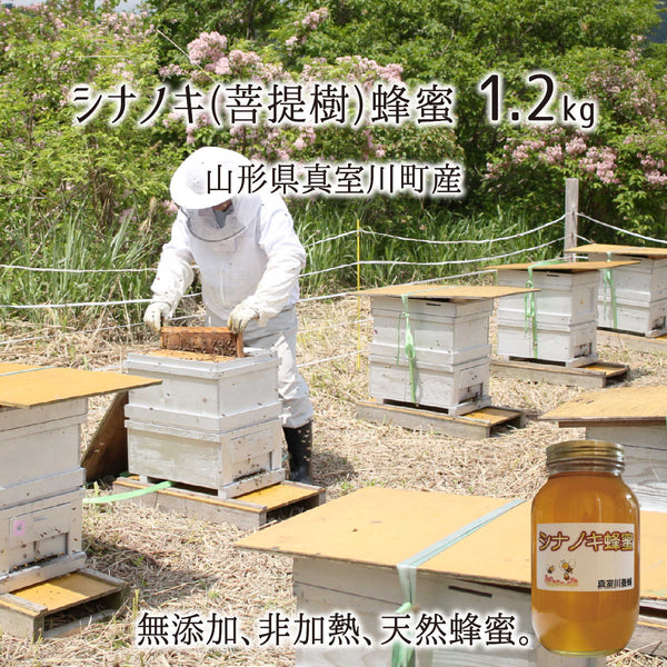 菩提樹蜂蜜(糖度80以上、純度90以上) 無添加 非加熱 全原材料国産 天然 純粋蜂蜜 山形県真室川町産 シナノキ 2025年採蜜 1.2kg 送料無料