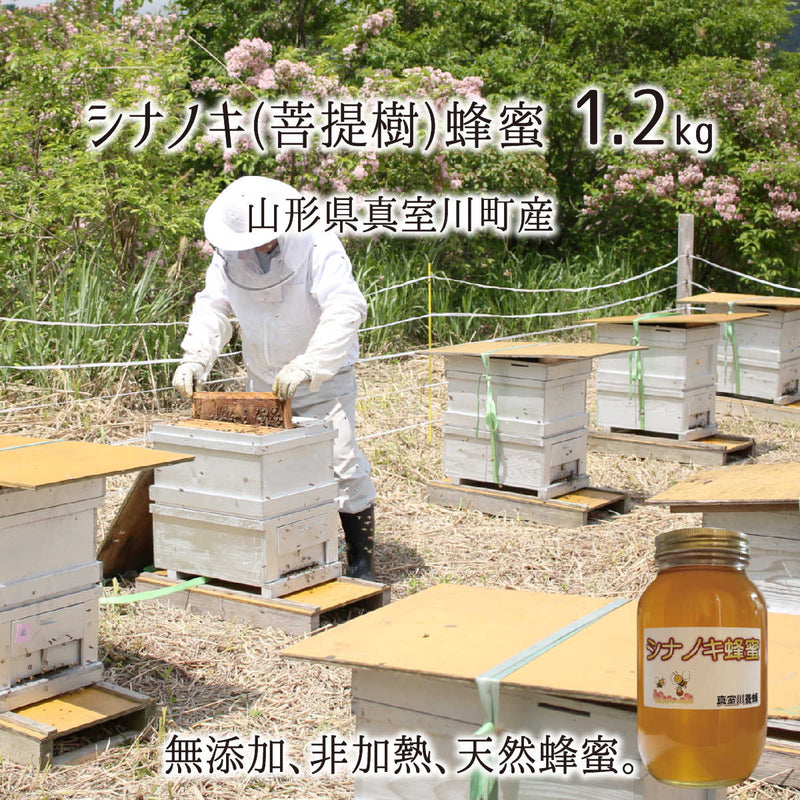 菩提樹蜂蜜(糖度80以上、純度90以上) 無添加 非加熱 全原材料国産 天然 純粋蜂蜜 山形県真室川町産 シナノキ 2025年採蜜 1.2kg 送料無料