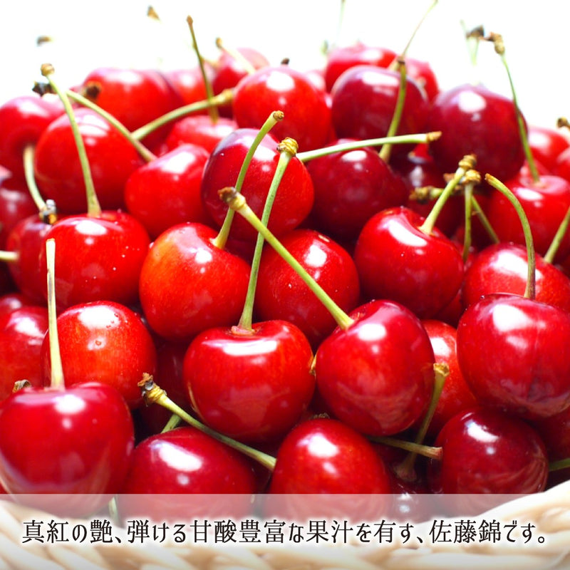 真紅の艶と弾ける果汁の減農薬東根サクランボ佐藤錦