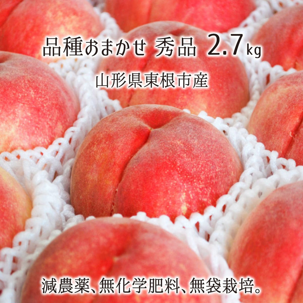 【もも品】 Amazon初売り】長く愛せる革製品が豊富「Kitamura（キタムラ）の
