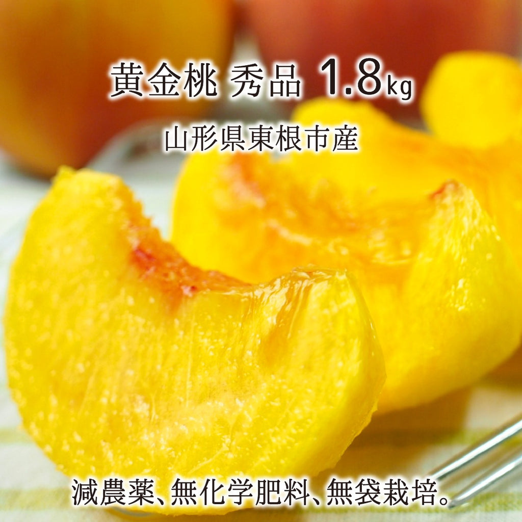 ygtk_t_mo_ou_018_05242839-e071